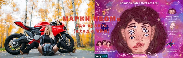 гидропоника Алзамай
