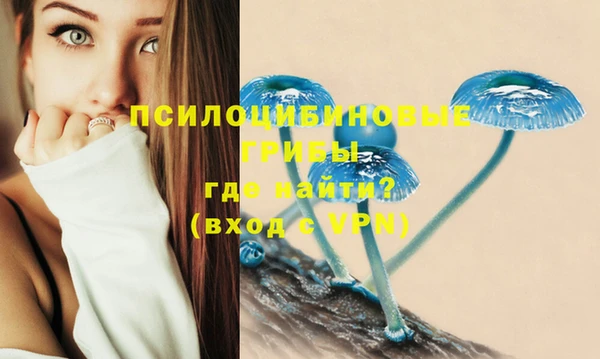 гидропоника Алзамай